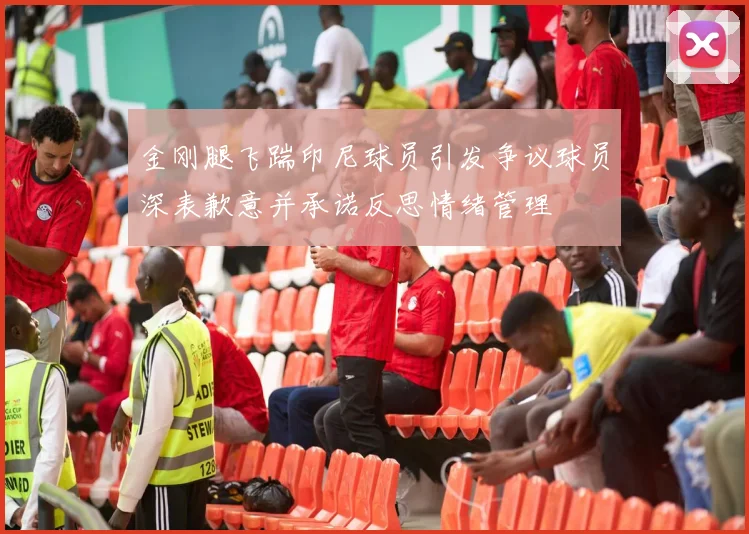 金刚腿飞踹印尼球员引发争议球员深表歉意并承诺反思情绪管理