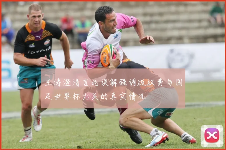 王涛澄清言论误解强调版权费与国足世界杯无关的真实情况