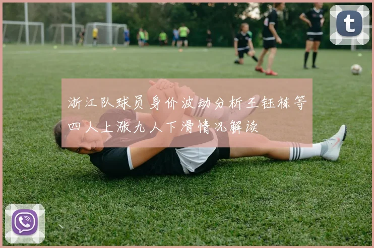 浙江队球员身价波动分析王钰栋等四人上涨九人下滑情况解读