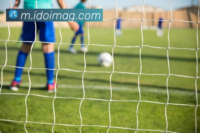 多终端兼容